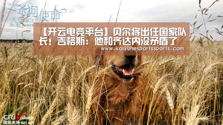 开云电竞官网